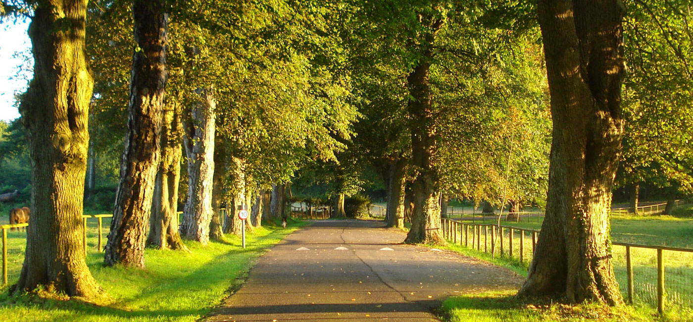 Henstaff Court - Drive Way